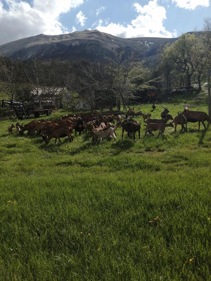 Agriturismo Nonnu Lui' Amandola المظهر الخارجي الصورة